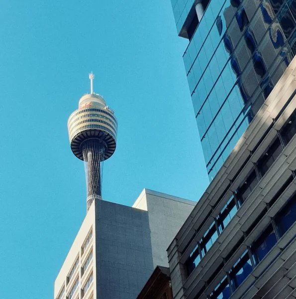 The urban view with the Sydney Tower isolated on the blue sky