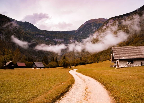 Ein Pfad Zwischen Ländlichen Häusern Mit Nebligem Wald Hintergrund — Stockfoto