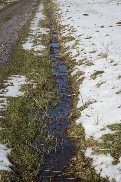 Sebuah Gambar Yang Indah Dari Salju Mencair Rumput — Stok Foto