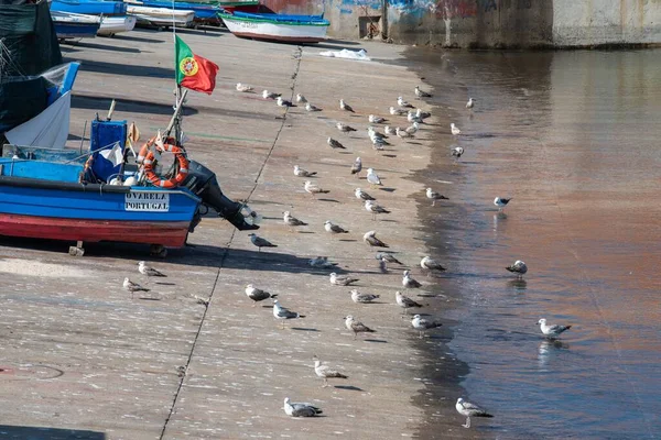 Balıkçı Tekneleri Ekipmanlarıyla Pesca Limanının Manzarası — Stok fotoğraf