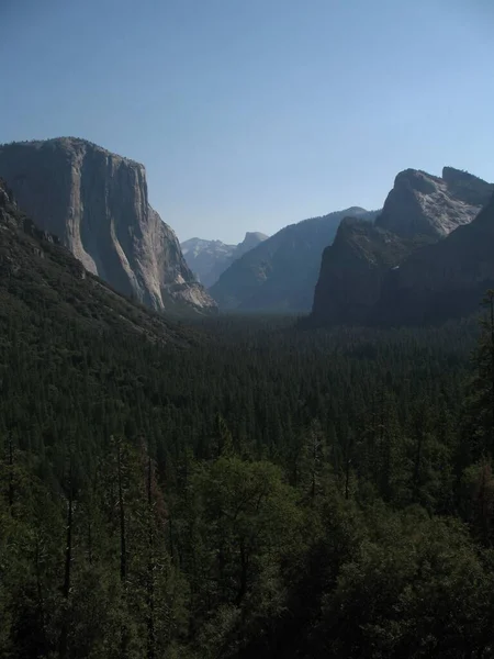 Muitas Árvores Verdes Dentro Túnel Parque Yosemite Vista — Fotografia de Stock
