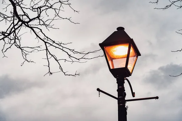 Zbliżenie Świecącej Ulicznej Lampy Tle Gałęzi Drzewa Nieba — Zdjęcie stockowe