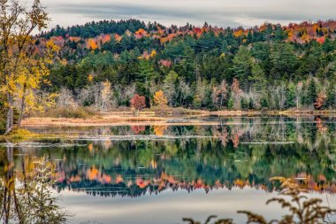 New England, ABD 'de güzel bir sonbahar manzarası.