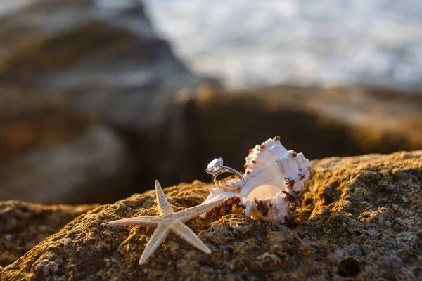 Deniz Kabuğunda Bir Nişan Yüzüğü Sahilde Deniz Yıldızının Yanında — Stok fotoğraf