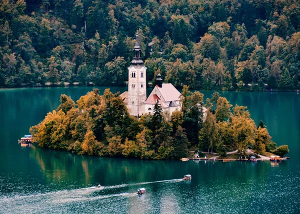 Slovenya Ağaçlarla Çevrili Barok Kilisesi Olan Güzel Bled Adası — Stok fotoğraf