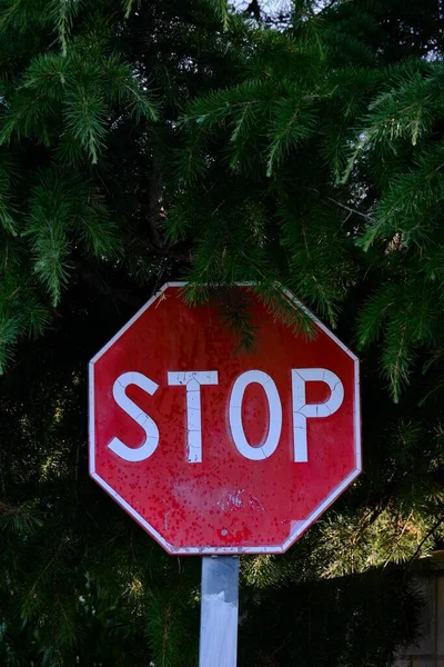 Piękne Ujęcie Znaku Stopu Pod Drzewem — Zdjęcie stockowe