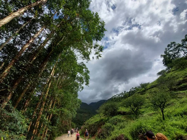 Tiro Ângulo Baixo Pessoas Caminhando Longo Caminho Cercado Por Vegetação — Fotografia de Stock