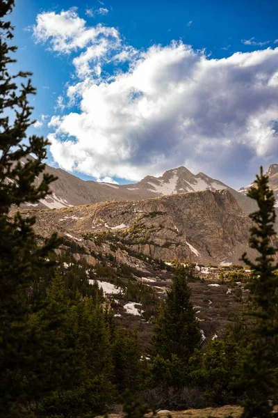 Colpo Verticale Pini Bosco Con Sfondo Montagne — Foto Stock