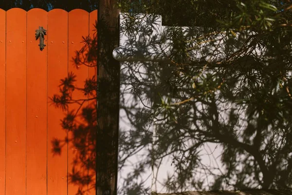 Primer Plano Árbol Con Sus Sombras Una Puerta Naranja Una —  Fotos de Stock