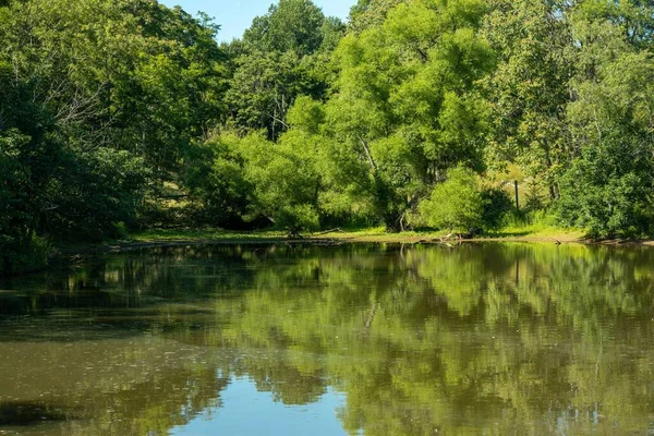 Uma Vista Tranquila Das Árvores Que Refletem Lago Dia Ensolarado — Fotografia de Stock