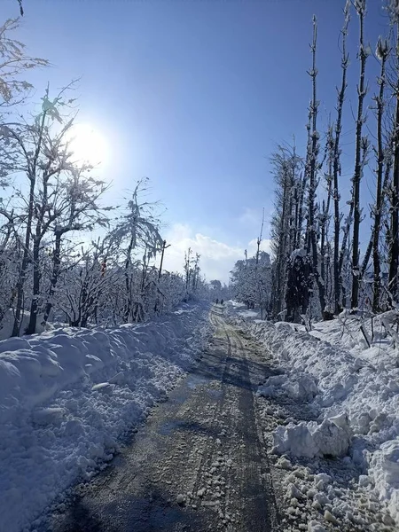 Ένας Χιονισμένος Επαρχιακός Δρόμος Μια Ηλιόλουστη Χειμωνιάτικη Μέρα — Φωτογραφία Αρχείου