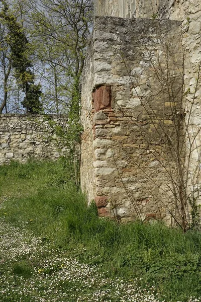 Вертикальный Снимок Старого Замка Озил Озил Рейнланд Пфальц Германия — стоковое фото