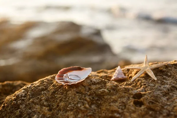 Pierścionek Zaręczynowy Muszli Morskiej Obok Rozgwiazdy Plaży — Zdjęcie stockowe