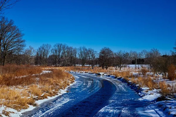Una Hermosa Vista Río Congelado Rodeado Árboles Día Invierno —  Fotos de Stock