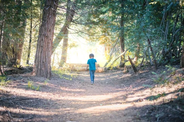 Милый Мальчик Идущий Тропе Лесу Калифорнии Сша — стоковое фото