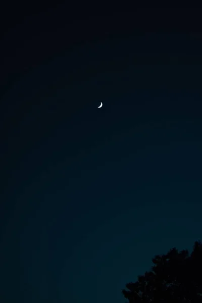 Tiro Vertical Lua Crescente Misteriosa Céu Escuro Azul — Fotografia de Stock