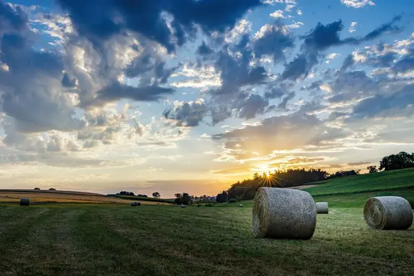 Hermosa Paca Paja Puesta Del Sol — Foto de Stock