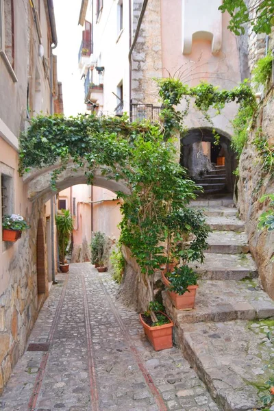 Vertical View Old Narrow Street Monte San Biagio Sunny Day — Stock Photo, Image