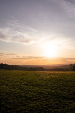 Altın saat boyunca yeşil bir tarla
