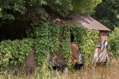 Grayson County, Virginia 'da terk edilmiş eski bir kulübe.