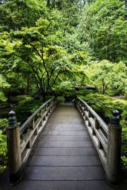 Oregon 'daki Japon Bahçeleri' ndeki canlı yeşil ormana giden ahşap bir köprünün muhteşem dikey görüntüsü.