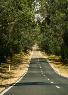 Güneşli bir günde doğadaki bir yolun dikey çekimi