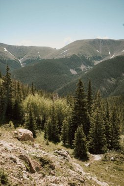 Kış Parkı, Colorado, ABD 'de güneşli bir günde tepeden ormana büyüleyici bir manzara