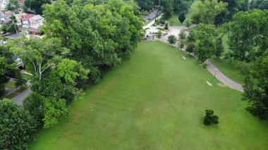 Huntington, CA, ABD 'deki güzel bir ormanın hava manzarası.
