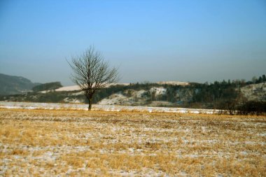 Bir sonbahar günü tarlanın manzarası