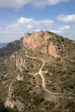 Ormanın yakınındaki güzel dağların dikey görüntüsü.