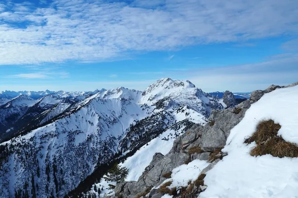 Pemandangan Udara Salju Tertutup Scheinbergspitze Ammergau Alpen Dikelilingi Oleh Pohon — Stok Foto