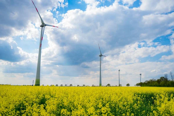 Rząd Wiatrowych Turbin Polu Kwiatu Przeciw Zachmurzonemu Niebu — Zdjęcie stockowe