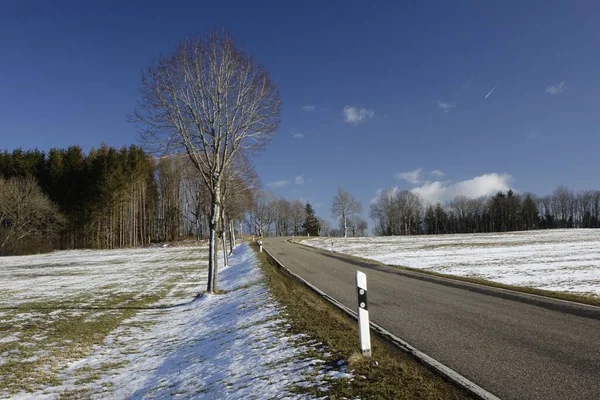 Θέα Του Επαρχιακού Δρόμου Που Καλύπτεται Από Δέντρα Μια Χειμωνιάτικη — Φωτογραφία Αρχείου