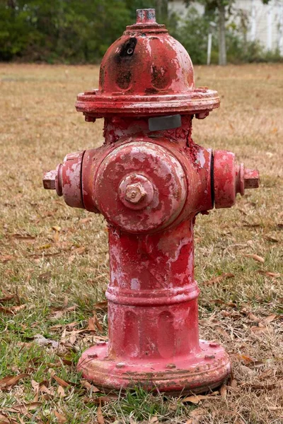 Primer Plano Vertical Pintura Que Desprende Una Boca Incendios — Foto de Stock