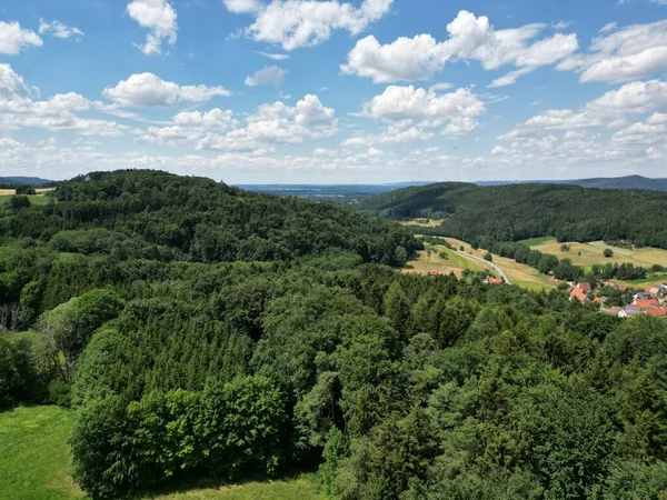 Aerial View Forest Daylight — Stock fotografie