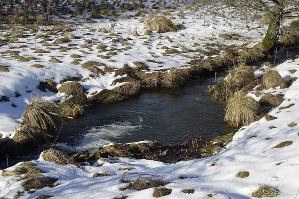 Прекрасний Знімок Танення Снігу Траві Біля Водяної Лунки — стокове фото