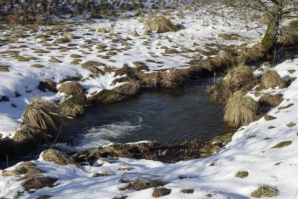 Belo Tiro Uma Neve Derretida Grama Perto Buraco Água — Fotografia de Stock