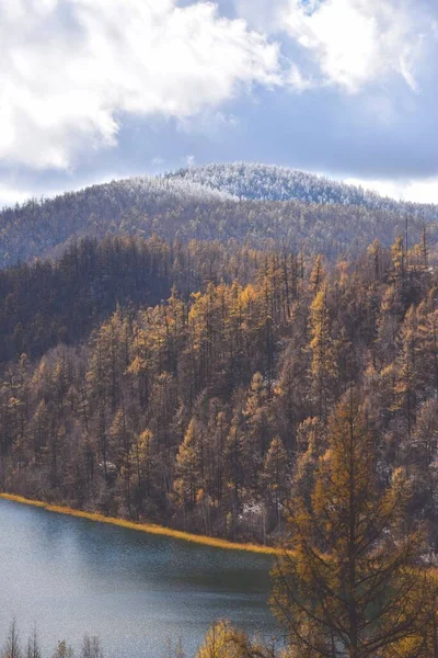 A vertical landscape of a forest with water on the foreground