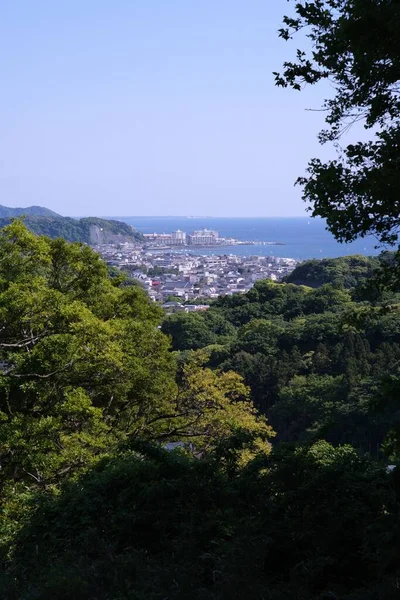 从树上看到的日本美丽城市川村的一张垂直照片 — 图库照片