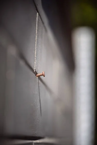 Vertical Shot Nail Halfway Gray Wall — Stock Photo, Image