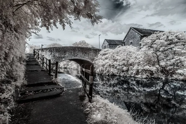 Прекрасный Весенний Пейзаж Цветущих Деревьев Лестницы Ведущие Старому Каменному Мосту — стоковое фото