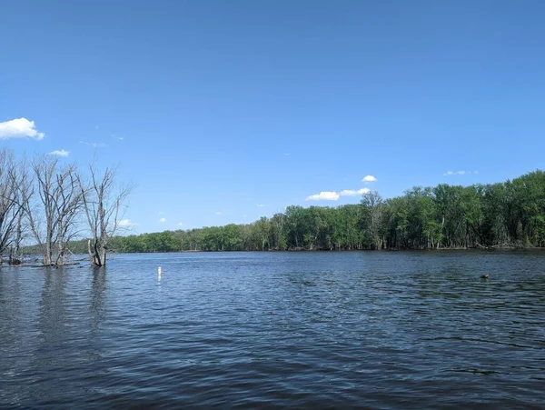 Uma Paisagem Natural Vista Tranquilo Lago Azul Com Árvores Margem — Fotografia de Stock