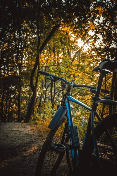 Eine Vertikale Aufnahme Eines Oldtimer Fahrrads Wald — Stockfoto