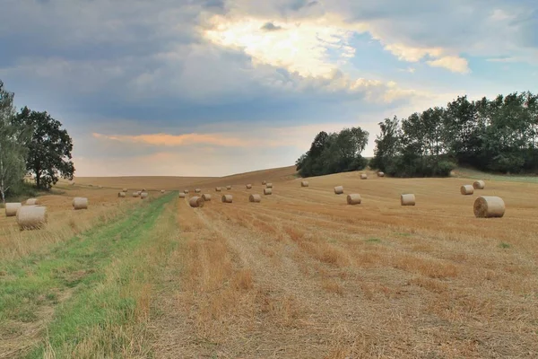 Paisaje Salida Del Sol Escénico Con Rollos Heno Campo — Foto de Stock