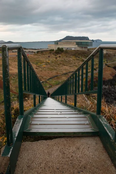 Disparo Vertical Una Escalera Verde Que Baja Por Una Colina —  Fotos de Stock