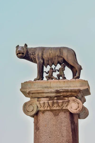 Bronze Statue Capitoline Wolf Lupa Capitolina Feeding Romulus Remus Italy — Stock Photo, Image