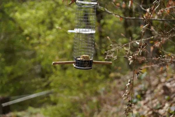 Ağaçta Asılı Duran Bir Kuş Yemliğinin Yakın Çekimi — Stok fotoğraf