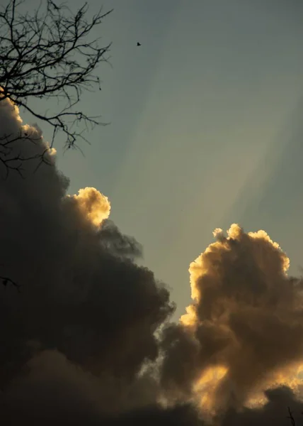 日没時の空の雲の垂直ショット — ストック写真