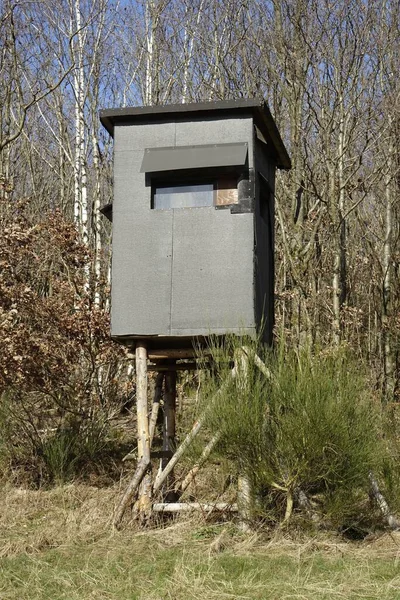The vertical view of a gray hunting blind against the woods
