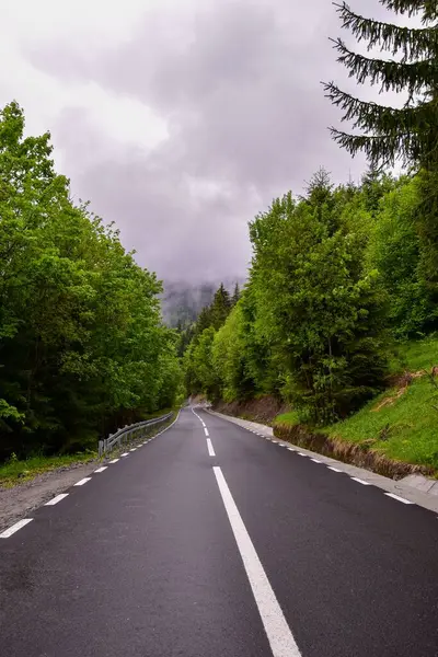 Pionowe Ujęcie Pięknej Autostrady Górach Capatyan Rumunii — Zdjęcie stockowe